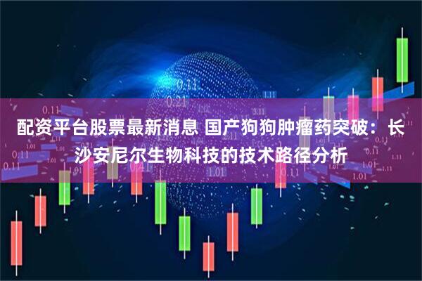 配资平台股票最新消息 国产狗狗肿瘤药突破：长沙安尼尔生物科技的技术路径分析